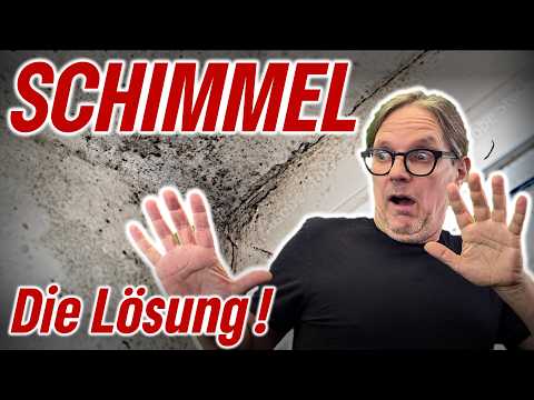 Schimmel - Wie lüftet man richtig?  Oder: Kann man überhaupt richtig lüften?