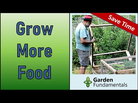 Secret Tips for Higher Vegetable Yields 🍅🥬️🥦🌽 Less Work and More Food