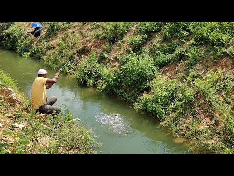 "TRADITIONAL UNCLE FISHING TECHNIQUES" BY ||DEPTH STREAM|| TILAPIA FISH CATCHING TRICKS @a1basha78