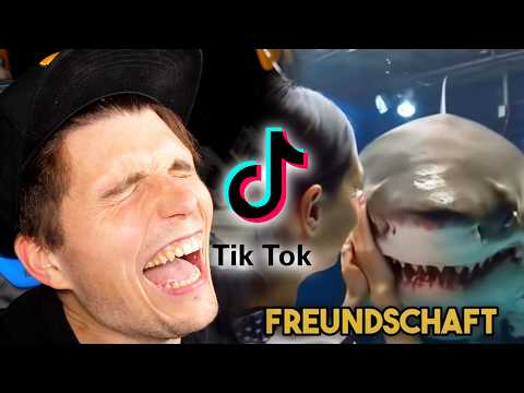 Paluten guckt TikToks bis er vom AI Hai gefressen wird