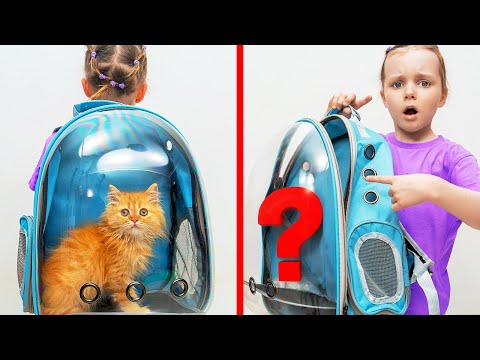 Chúng Tôi Đã Mất Con Mèo Rồi!