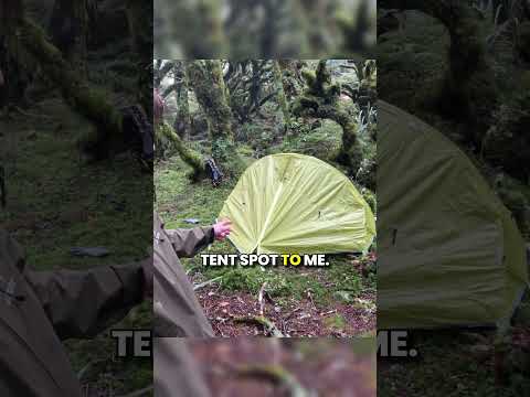 Cold, Wet, and Hungry - But This Meal Hit Different  #solocamping  #camping #survival