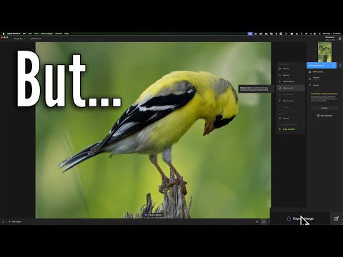 Photo AI: an ESSENTIAL Photo Editing App BUT...