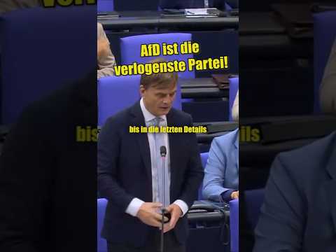 AfD Wieder Mit Fakten ZERLEGT!