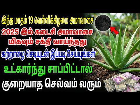 இந்த மாதம் 19 வெள்ளிக்கிழமை அமாவாசை 2025 இல் கடைசி அமாவாசை கற்றாழை செடியுடன் இப்படி செய்யுங்கள்