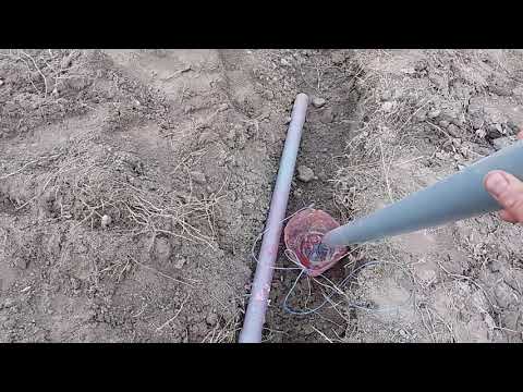 Посадка чеснока 2019г. Способ посадки, схема и протравливание перед посадкой.