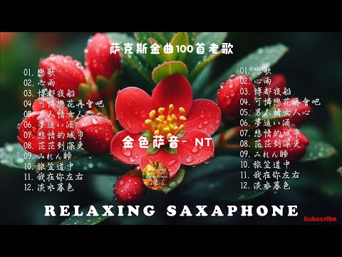 [無廣告] 太美了👍100大最美的華語薩克斯風曲 | 經典的薩克斯曲目 - 萨克斯金曲100首老歌