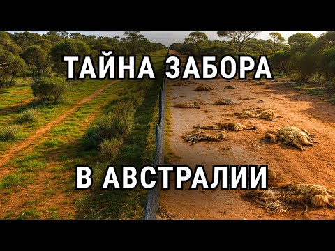 Что скрывает забор Австралии: обратная сторона загадочной стены