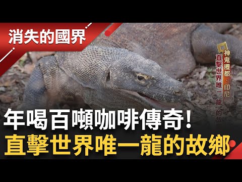 三姊妹堅持傳承華人喜悲! 下午茶吃"Lunpia" 再來張蔥油餅 排華"禁說中文"影響至今 世界唯一"科摩多龍"故鄉 開發保存?太兩難|李文儀主持|【消失的國界PART2】20250721|三立新聞台