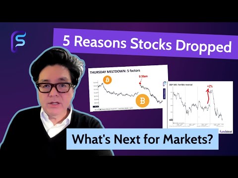 Tom Lee: 5 Reasons Behind Thursday’s Meltdown