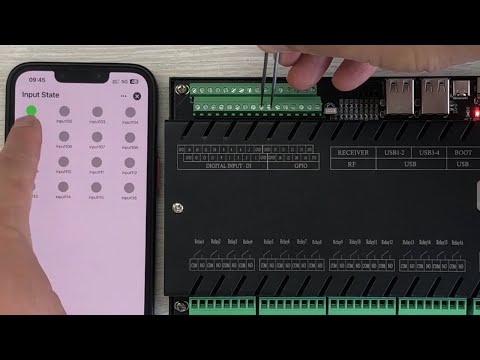 Server16 Raspberry Pi controller use Tuya Home assistant simultaneously