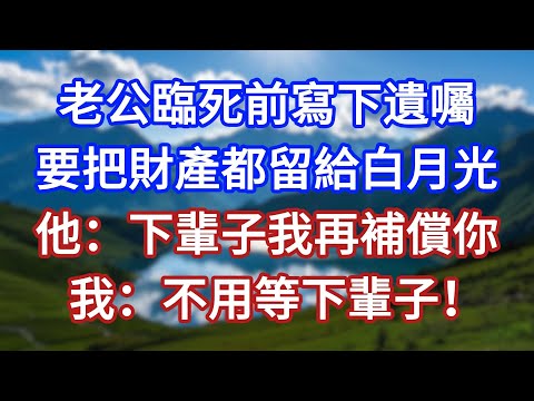 老公臨死前寫下遺囑，要把財產都留給白月光，他：下輩子我再補償你！我：不用等下輩子！#言情故事#情感故事#家庭故事#小說#戀愛#婚姻