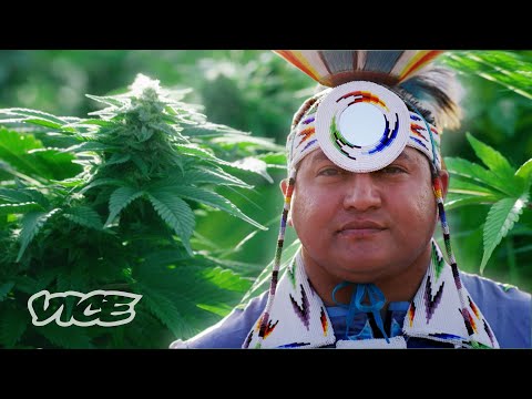 The Paiute Tribe's Marijuana Venture | WEEDIQUETTE