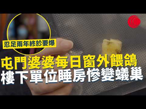 一線搜查｜屯門婆婆每日窗外餵鴿 樓下單位睡房慘變蟻巢 窗台大量餅乾殘渣 忍足兩年終於要爆！｜972集｜有線新聞 黃愷怡｜#一線搜查｜HOYTV 77台 #HOYTV #開電視 ＃HOY