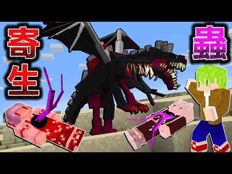 Minecraft 玩家3人都被寄生！最難最強『能寄生所有生物的蟲』合作生存，使用槍挑戰突變寄生終界龍！