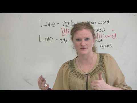 Confused Words - LIVE & LIVE