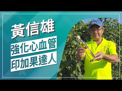 草地狀元-樹上魚油印加果推手(2020.03.30播出)