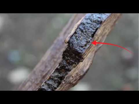 15 Natural Substances Worth MORE Than Gold – Rhodium at $29,000/OZ