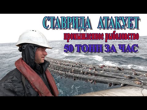 РЫБАКИ В ДЕЛЕ 50 ТОНН За час. Выборка трала. Клев сумасшедший
