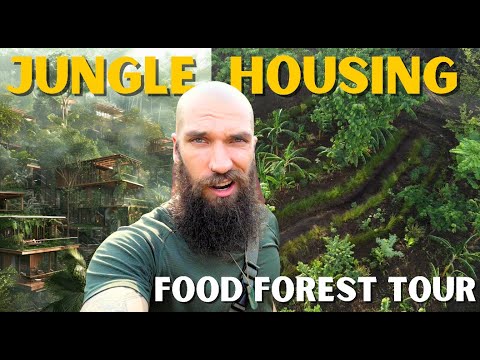 SWALES in a Food Forest (Syntropic Agroforestry + Housing Development)