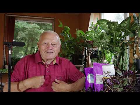 Раскрою секрет, как молочная сыворотка и овсяный кисель делают томаты и все, вкусней, целебней...