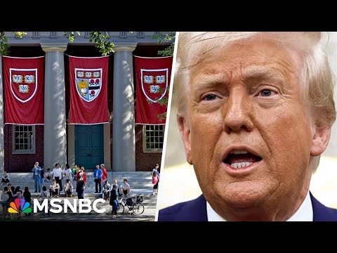 'Brain drain': Why the loss of international students will have reverberations on the economy 