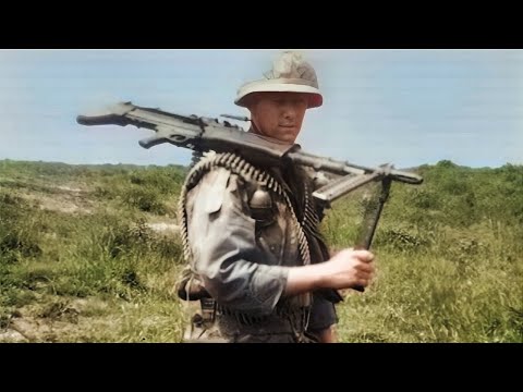 PFC JERRY MCNELLY, 1st Air Cavalry, Vietnam, 1967-1968