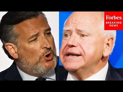 BREAKING NEWS: Sparks Fly At Ted Cruz-Led Hearing On Minnesota Fraud In Senate Judiciary Committee