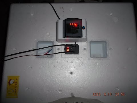 Modernization of the "Lay" incubator (BI-1,BI_2)