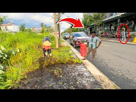 No one believes we CLEAN FOR FREE until they see the final result of a sidewalk | Clean up Lawn