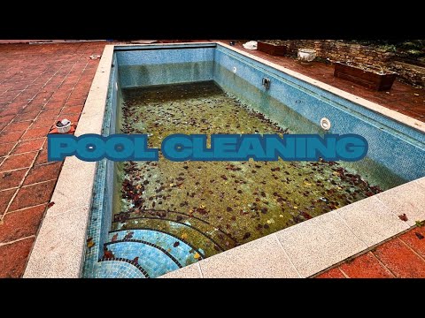 Pool cleaning compilation 🧼