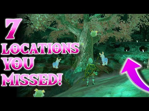 7 COOL Locations You MISSED In Zelda Tears of the Kingdom!