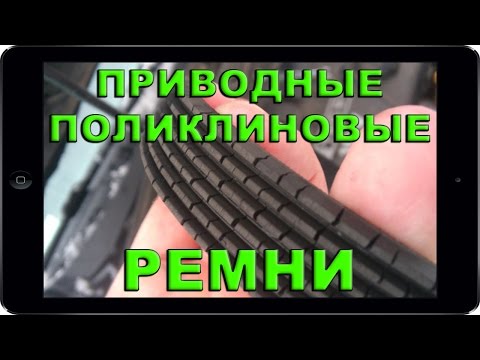 ВСЁ, что нужно знать о ПРИВОДНЫХ РЕМНЯХ. Технический семинар Gates. Поликлиновые ремни генератора
