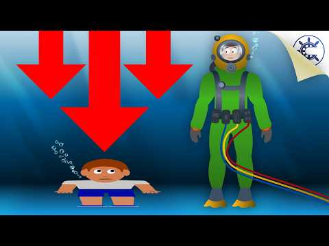 Deep Pressure – How Do They Survive It?