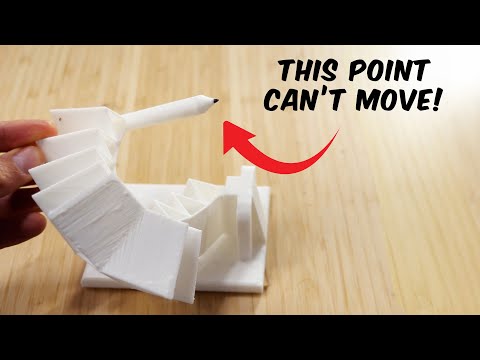 Chickens Are Weirder Than You Thought