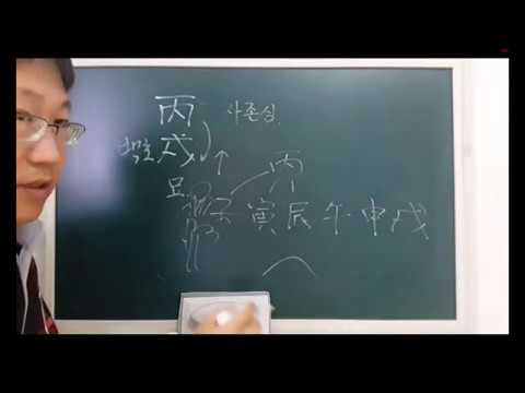 ☉ 병술일주 일주론 - 피클의 행복한 명리