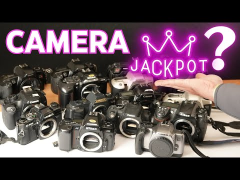 16 Camera Lot Auction Win Unboxing - Did I hit the Jackpot?!