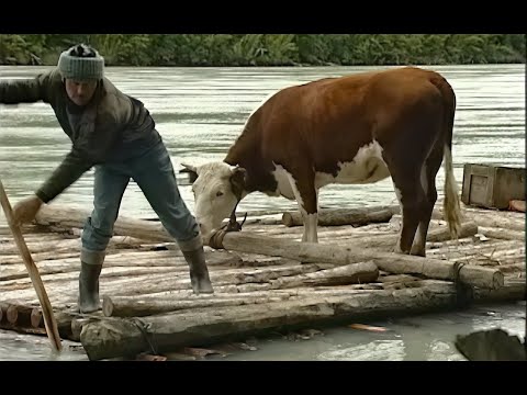 Balseros del Río Baker
