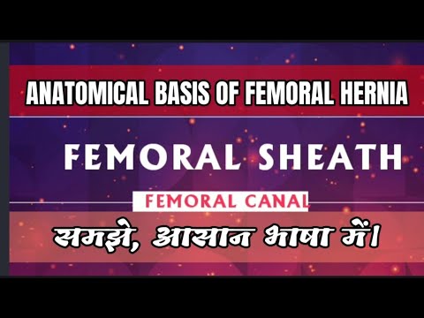 FEMORAL SHEATH AND FEMORAL CANAL
