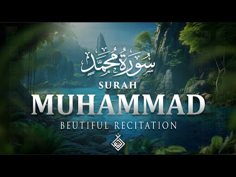 Surah Muhammad سورة محمد | A Heartwarming Recitation to Renew Your Faith | Al-Taqwa TV