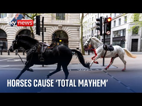 Household Cavalry horses cause 'total mayhem' after bolting through central London