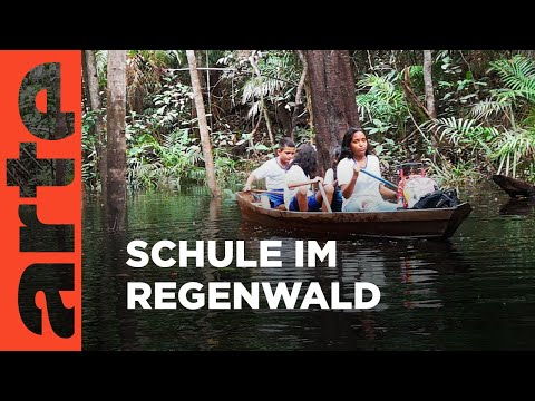 Die gefährlichsten Schulwege der Welt | Brasilien | ARTE Family