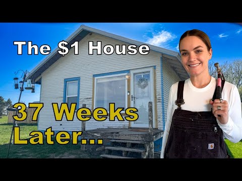 I Renovated This $1 House (Start To Finish)