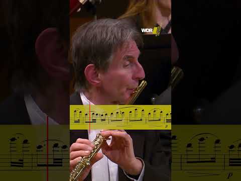 Brahms, der Ohrwurm-Garant 🎶 Einmal gehört, nie vergessen. #Klassik #Brahms