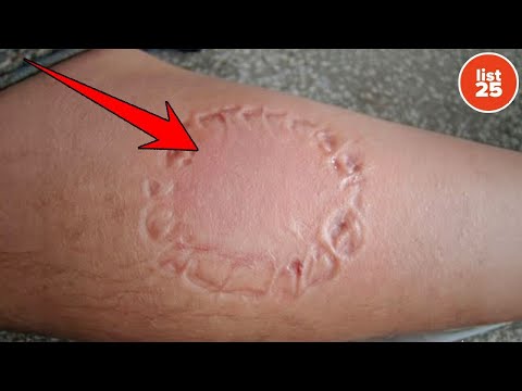 Terrifying Truths Hiding in Plain Sight