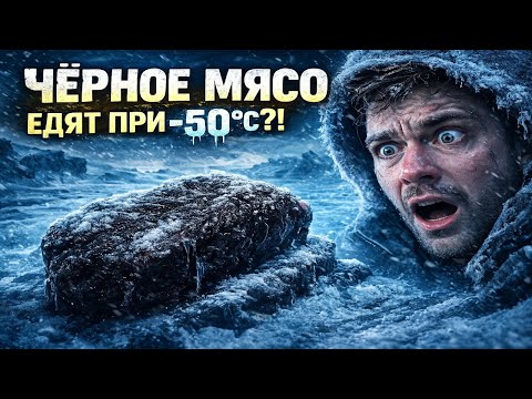Смертельный деликатес в -50°C: Тайна «черного мяса»