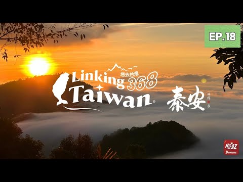 【苗栗泰安】EP18 完整版|Linking368Taiwan