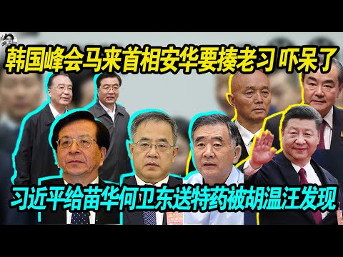 大惊失色：韩国峰会马来首相安华疑似要揍习近平，给老习吓呆了，老习问责王毅蔡奇你们的安保怎么搞的？| 习近平给审讯室的苗华何卫东送特药被胡温给发现了