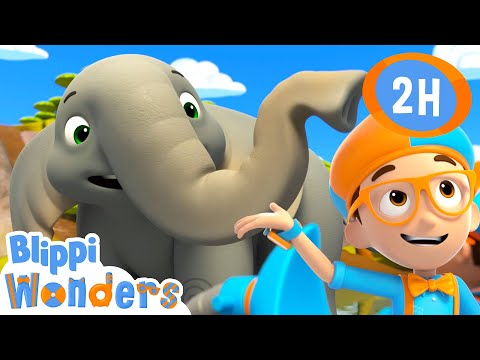 Elephants | Blippi Wonders| Educational Kids Videos | Moonbug Kids
