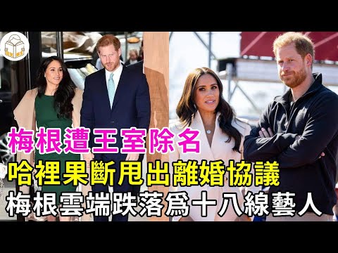 除名！梅根哈裡已撕破臉，哈裡果斷甩出離婚協議！14億財産對半分，梅根搶孩子，哈裡獨自參觀戴安娜故居#夏洛特公主#卡米拉#戴安娜王妃#凱特王妃#莉莉貝特#英國王室#談笑娛生#哈裡王子#梅根